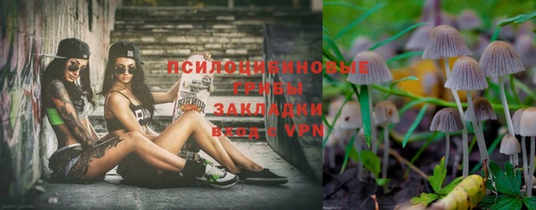 дмт Алзамай